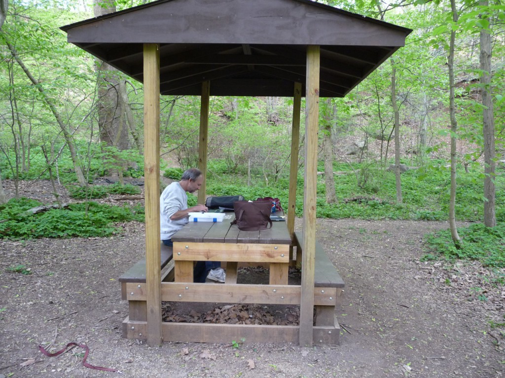 My "office" in Frick Park, Pittsburgh