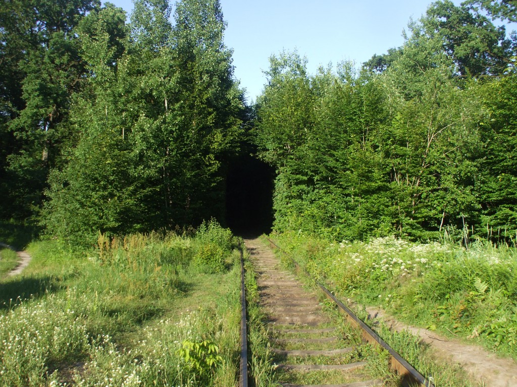 "The Tunnel of Love" -- Ukraine, June 2013