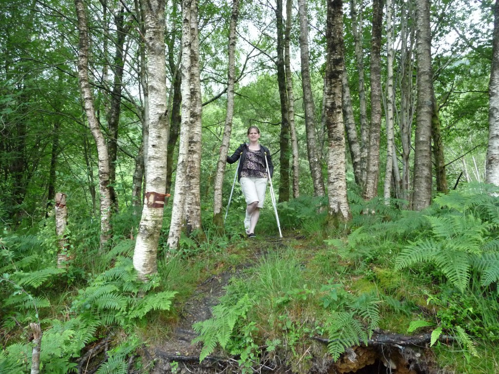 One more look at Scotland: the bonnie, bonnie banks of Loch Lomond -- really!