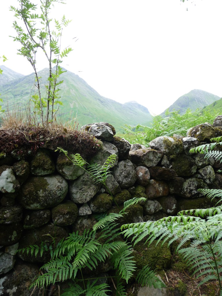 Stone wall at cold Glencoe